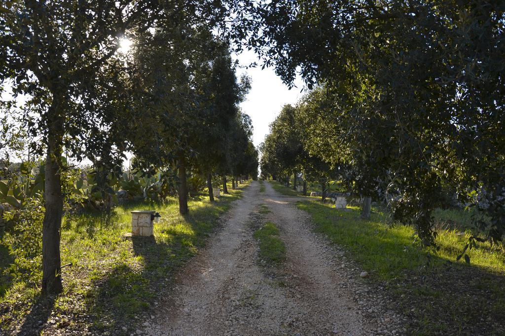 B&B Masseria Del Marchese カステッラーナ・グロッテ 部屋 写真